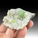 Prehnite with Calcite - image 1