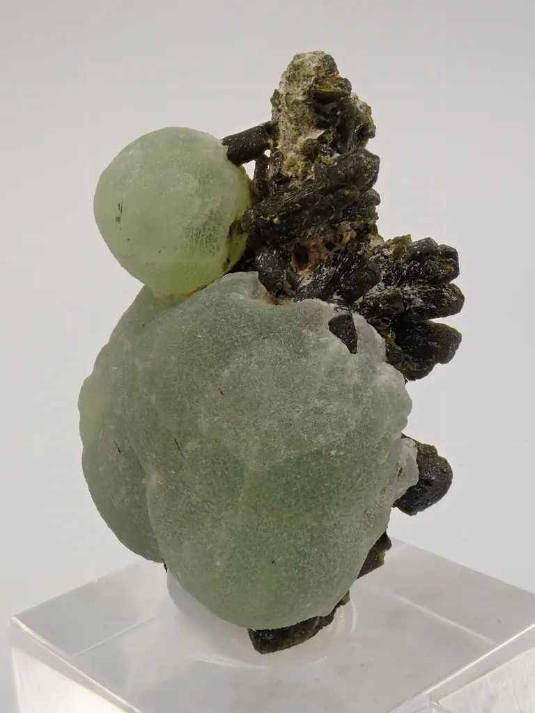 Prehnite with Epidote image