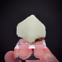 Prehnite with Garnet - image 1