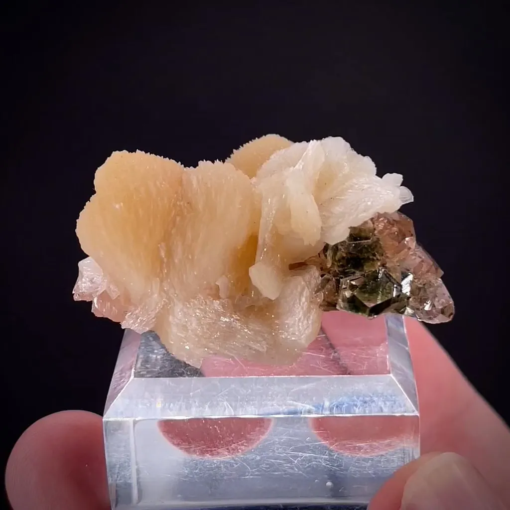 Prehnite with Garnet image