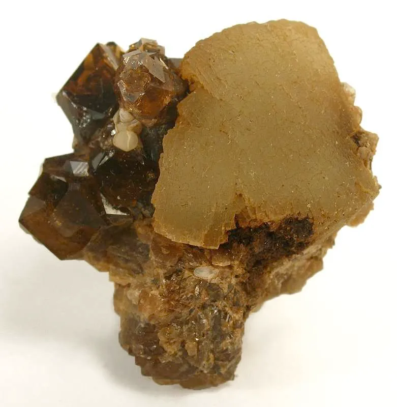 Prehnite With Grossular Garnet image