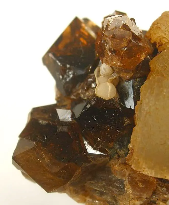 Prehnite With Grossular Garnet - image 3