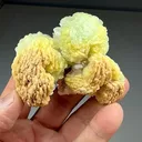 Prehnite with Quartz (2221) - image 2