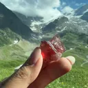 specimen video