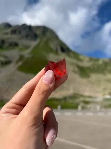 specimen video
