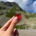 specimen video