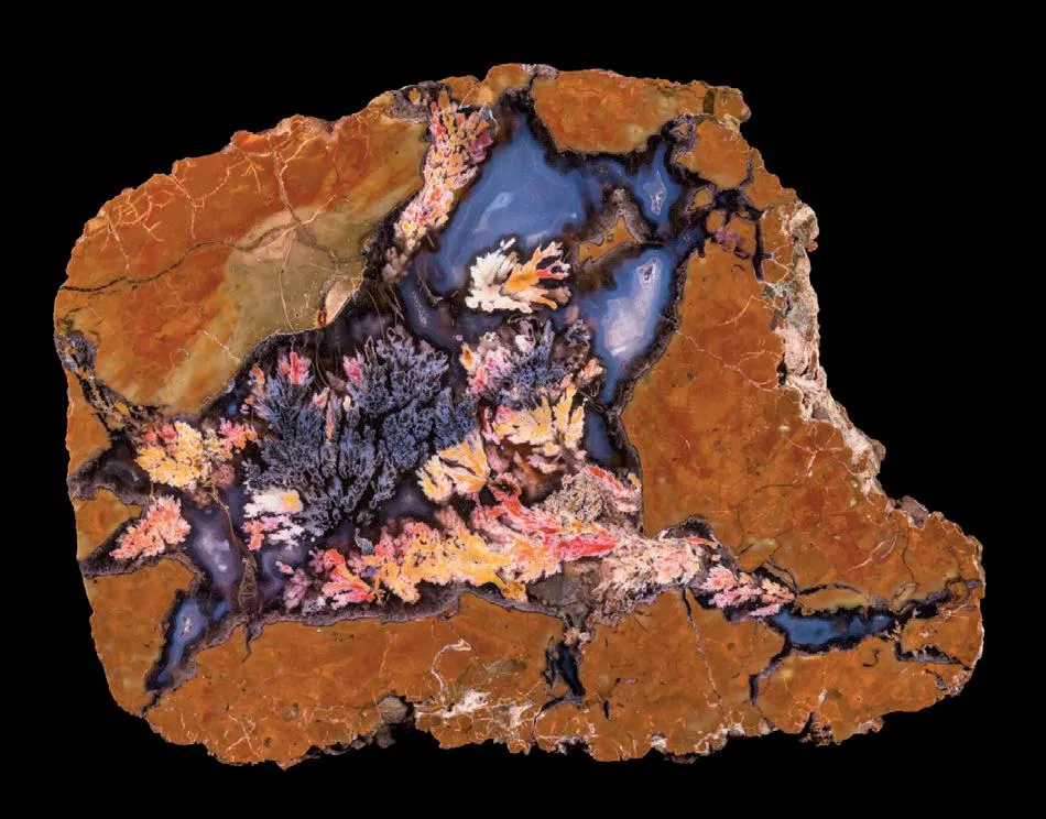 Priday Plume Agate - image 1
