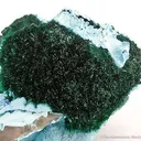 Primary Malachite on Chrysocolla - image 2
