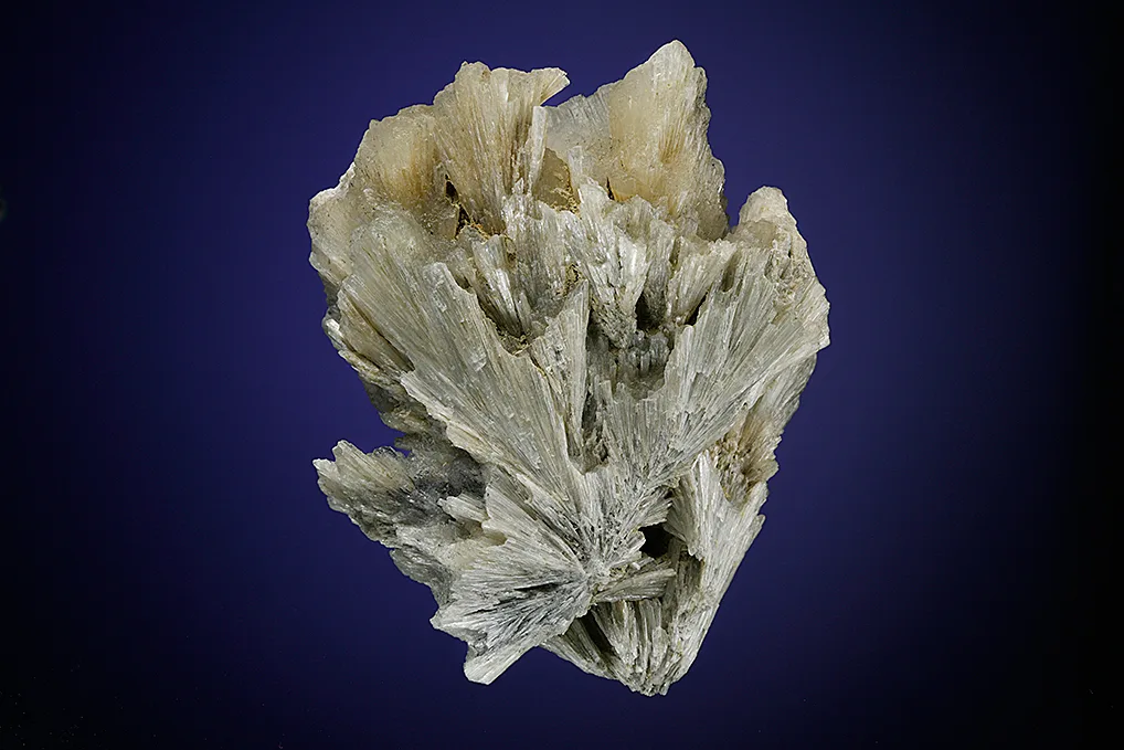 Probertite image