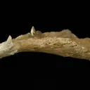 Probertite - image 3