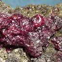 Proustite - image 2