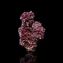 Proustite from Chañarcillo Mining District, Atacama, Chile - image 1