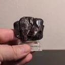 specimen video
