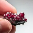 Proustite from Chile, Atacama, Copiapó Province, Copiapó, Chañarcillo Mining District - image 3