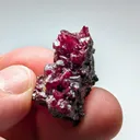 Proustite from Chile, Atacama, Copiapó Province, Copiapó, Chañarcillo Mining District - image 4