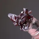 Proustite from Niederschlema, Bad Schlema, Saxony, Germany - image 1