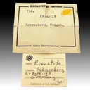 Proustite from Schneeberg, Erzgebirgskreis, Saxony, Germany - image 2