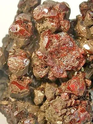 Proustite, Gypsum - image 2