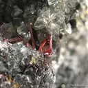 Proustite In Nickeline - image 3