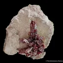 Proustite on Calcite - image 1