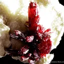 Proustite on Calcite - image 2