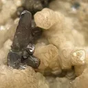Proustite on Calcite - image 2