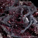 Proustite with Acanthite and Xanthoconite - image 4