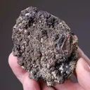 Proustite with Pyrite - image 2