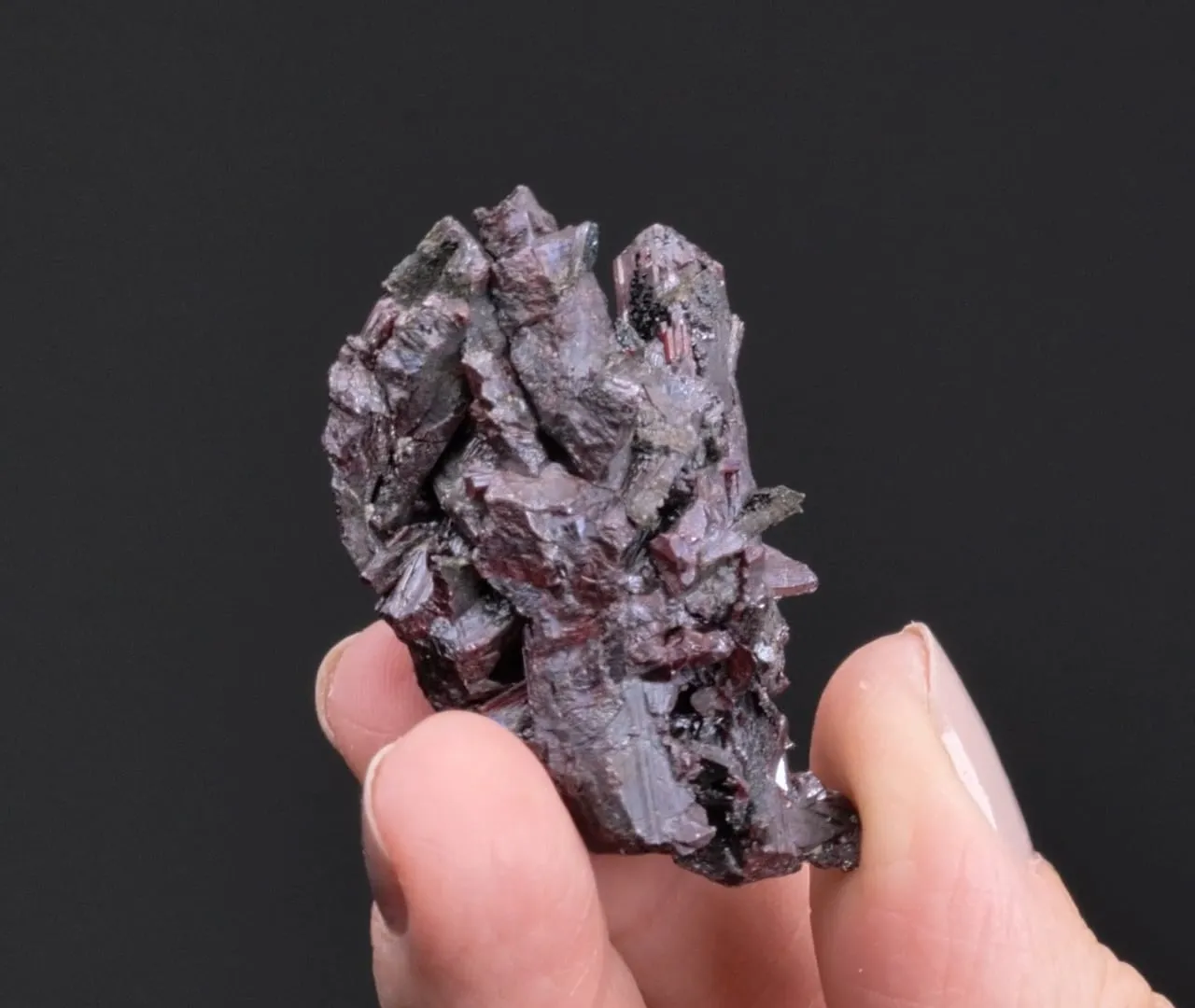 Proustite with Sternbergite - image 2