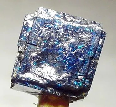 Pseudoboleite, Boleite image