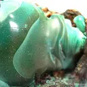 Pseudomalachite - image 2