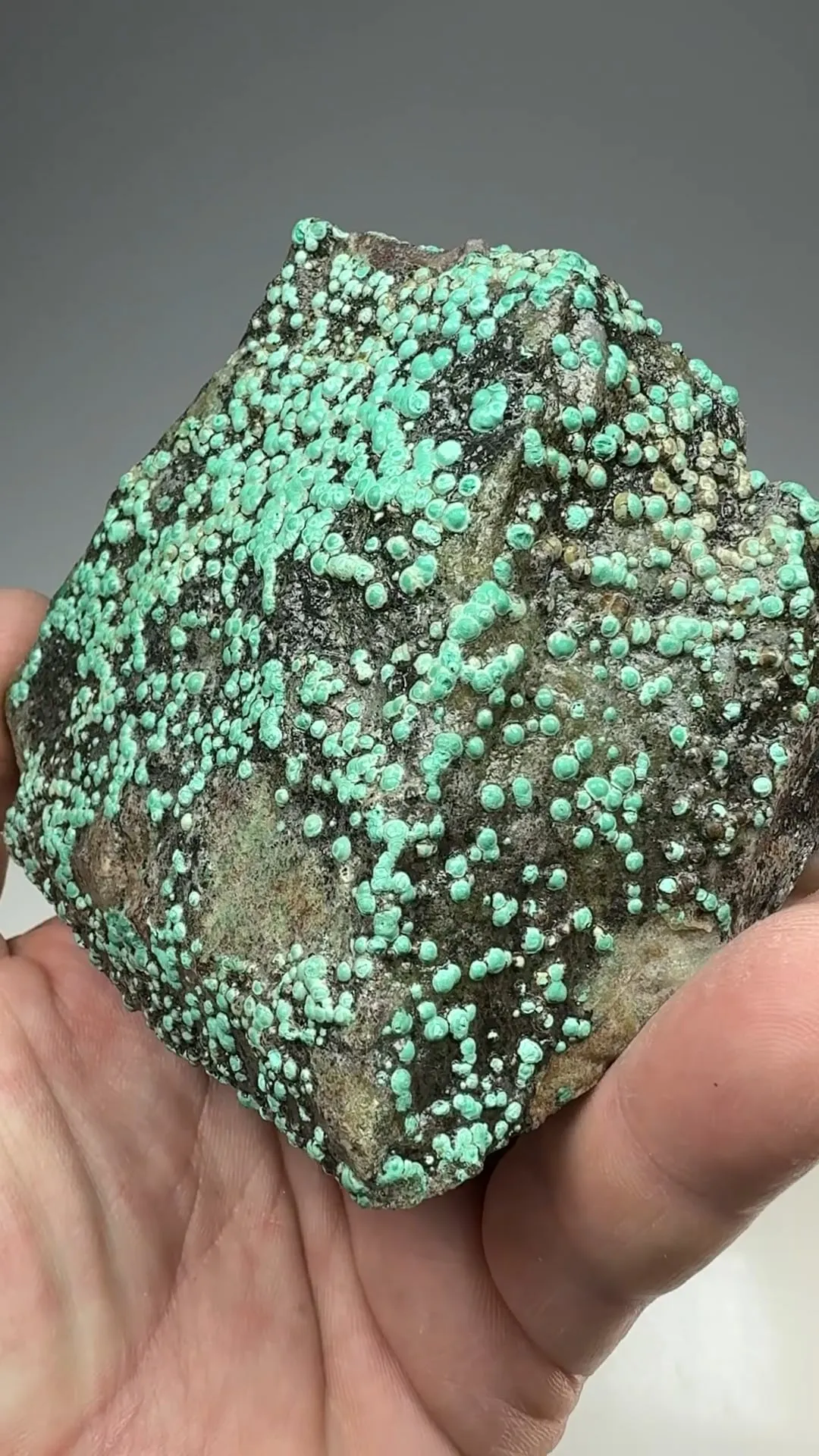 Pseudomalachite  (laquered surface) - image 2