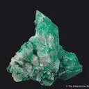 Pseudomalachite on Quartz - image 6