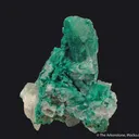 Pseudomalachite on Quartz - image 3