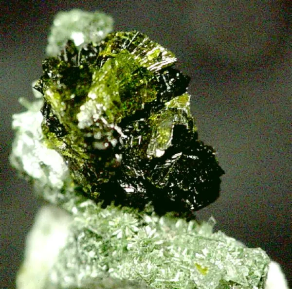 Pumpellyite-(Mg), Quartz image