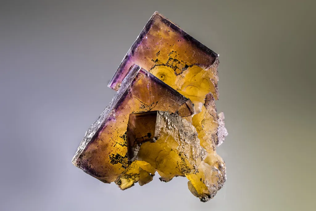 Purple and Gold Fluorite image