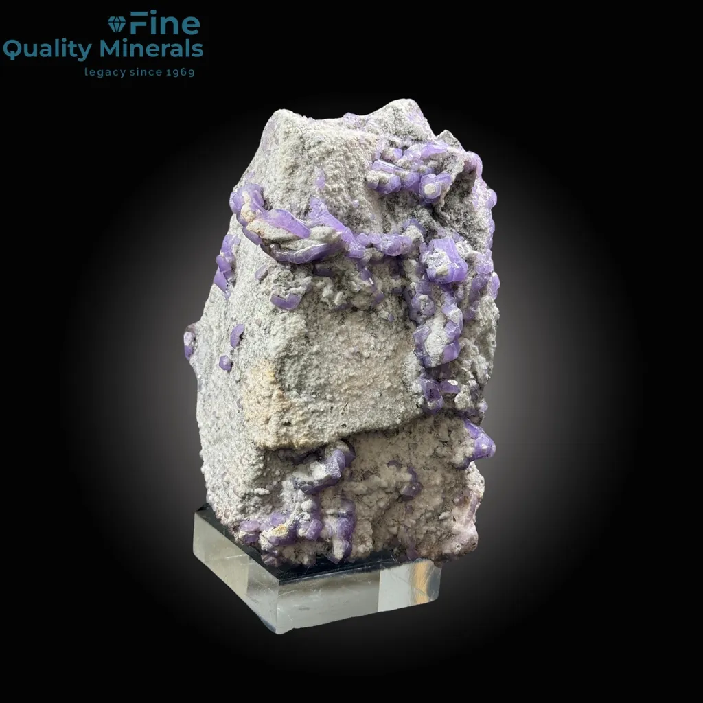 Purple Apatite Bunch on Feldspar image