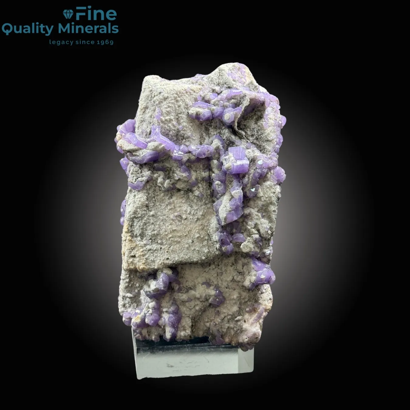 Purple Apatite Bunch on Feldspar - image 2
