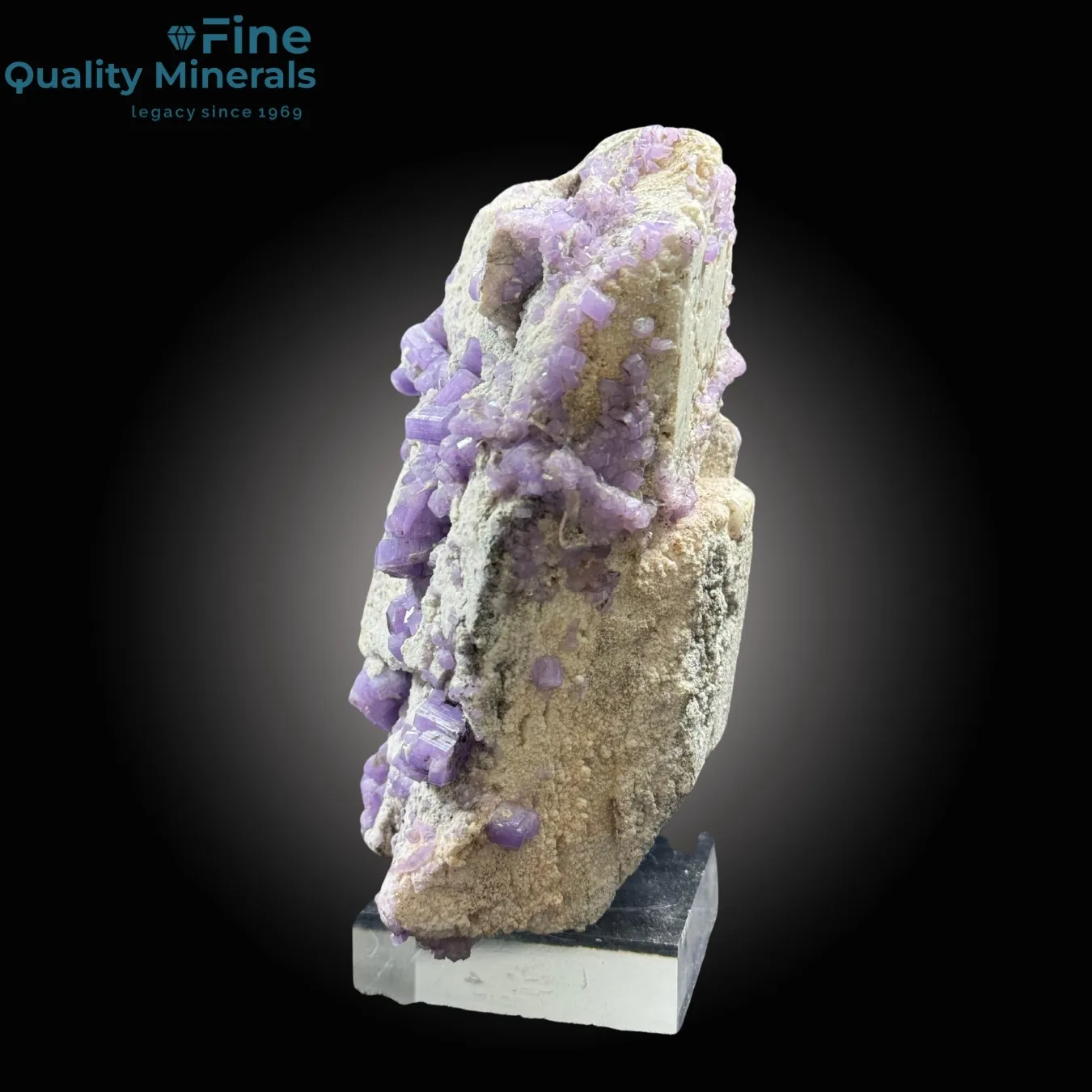 Purple Apatite Bunch on Feldspar - image 4