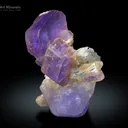 Purple Apatite Cluster on Kunzite from Afghanistan - image 1