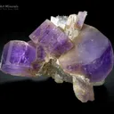 Purple Apatite Cluster on Kunzite from Afghanistan - image 3