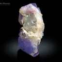 Purple Apatite Cluster on Kunzite from Afghanistan - image 2
