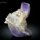 Purple Apatite Cluster on Kunzite from Afghanistan - image 4