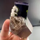 Purple cap Tourmaline from Afghanistan - image 2