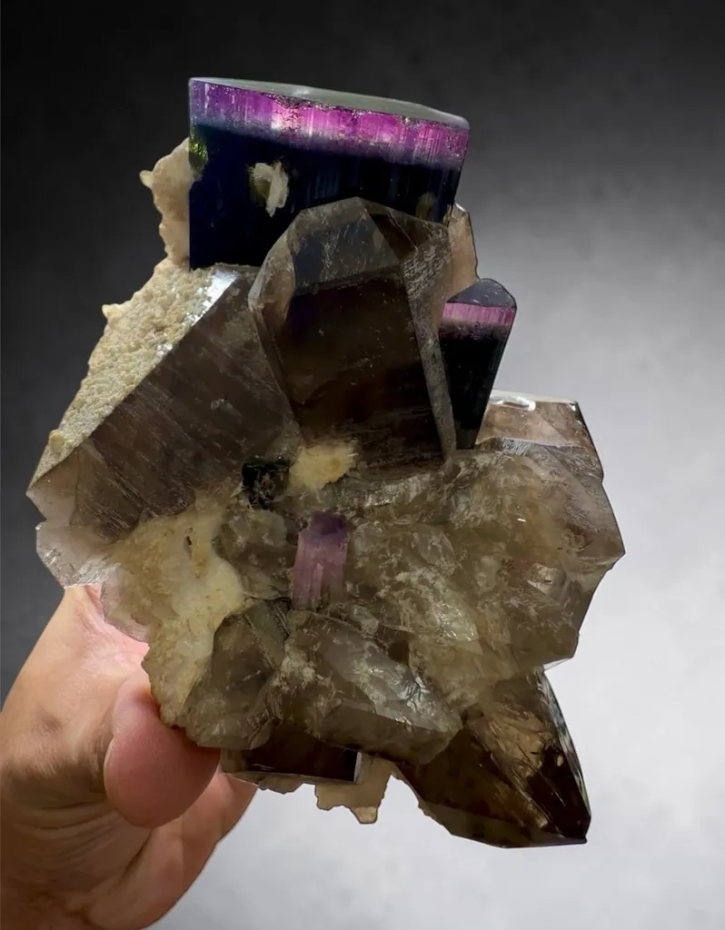 Purple cap Tourmaline with smoke Quartz on matrix specimen from Afghanistan image
