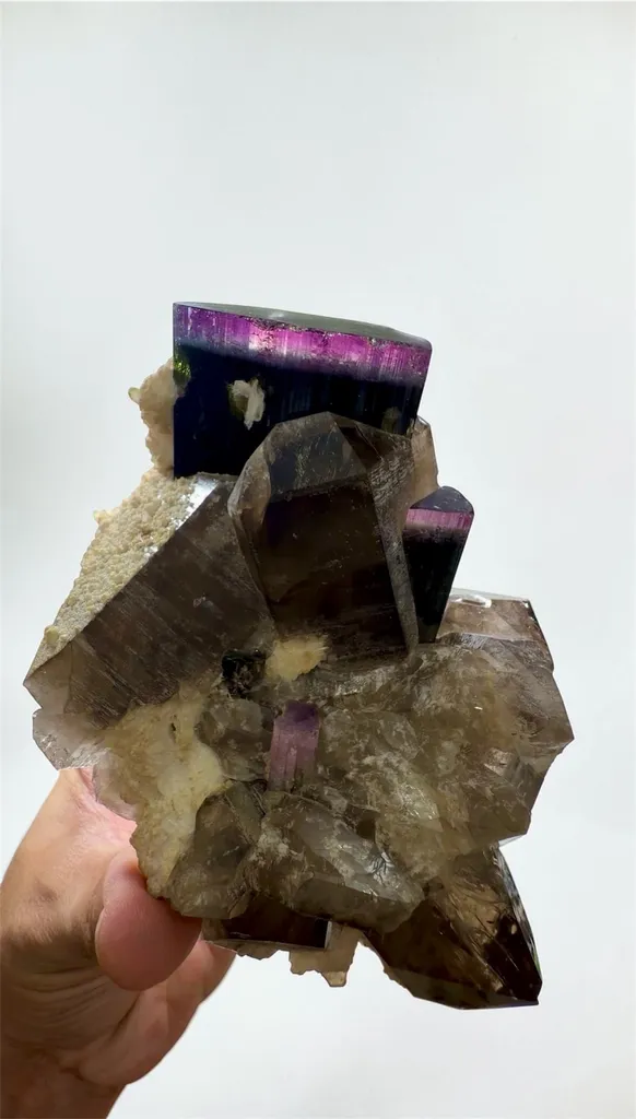 Purple cap Tourmaline with smoke Quartz on matrix specimen from Afghanistan - image 5