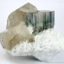Purple-Capped Tourmaline, Quartz, Albite - image 1
