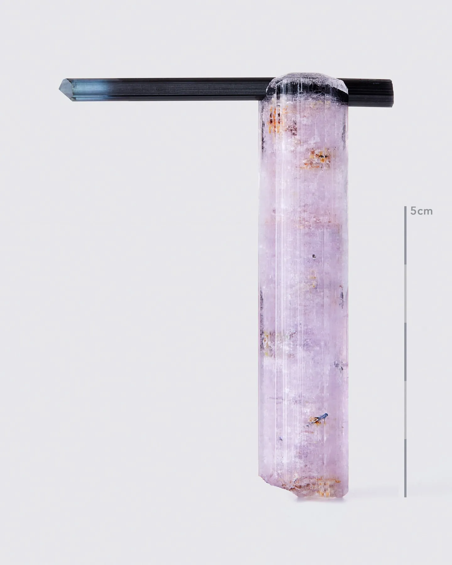 Purple Fluorapatite with Tourmaline - image 1