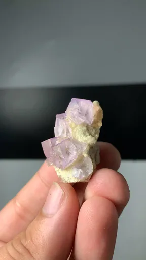 specimen video