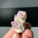 specimen video